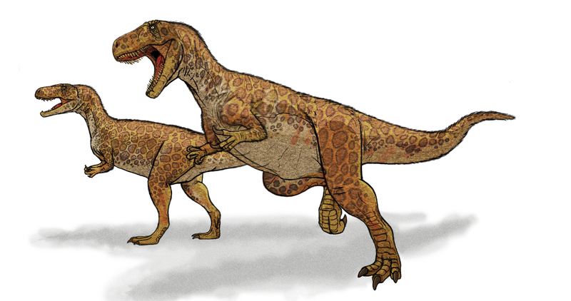 Megalosaurus. Wikimedia Commons